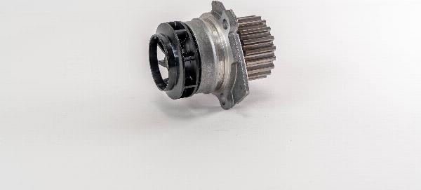 Magneti Marelli 350920P - Pompa acqua www.qualy.parts