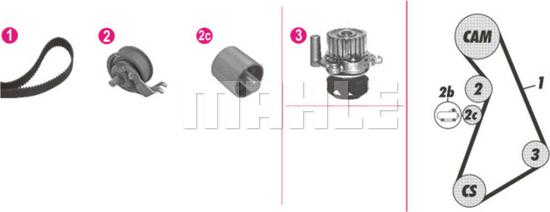 MAHLE CPK 122 000P - Pompa acqua + Kit cinghie dentate www.qualy.parts