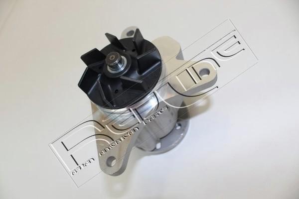 Red Line 28RV023 - Pompa acqua www.qualy.parts
